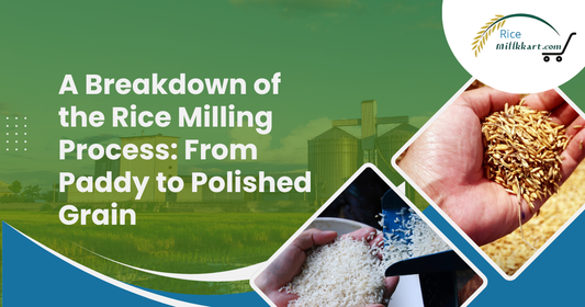 A Breakdown of the Rice Milling Process: From Paddy to Polished Grain